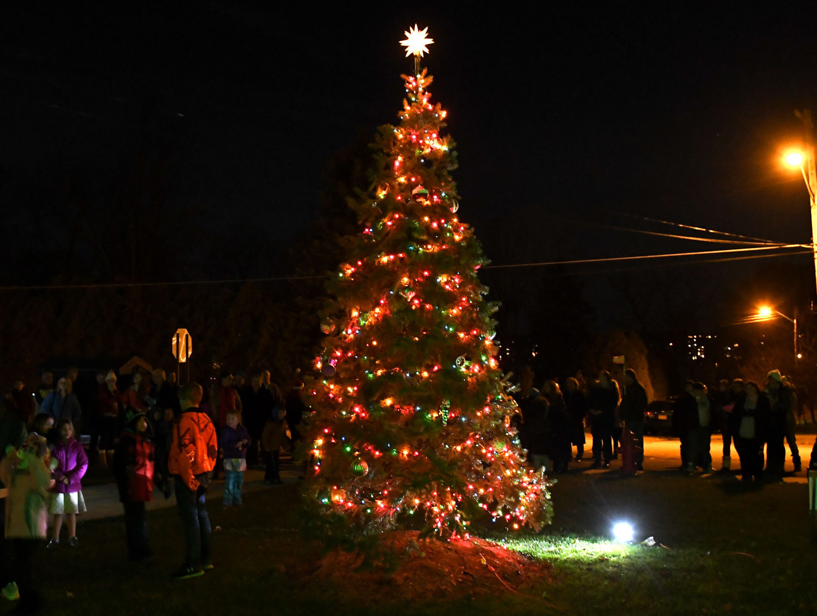 Cayuga Christmas 3.JPG